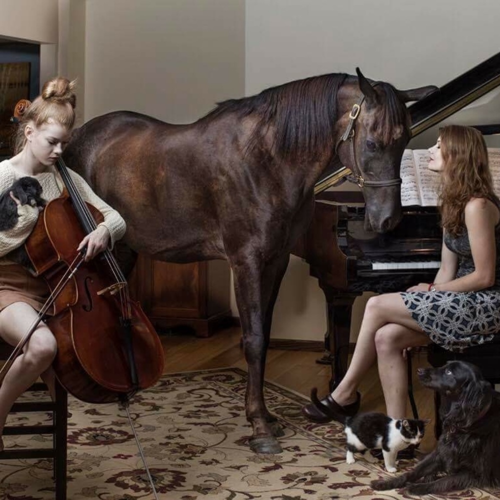 Meet your Posher, SK